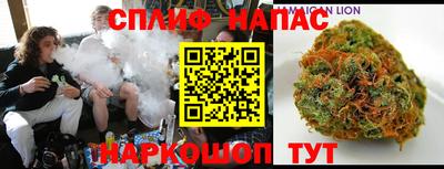 индика Гуково
