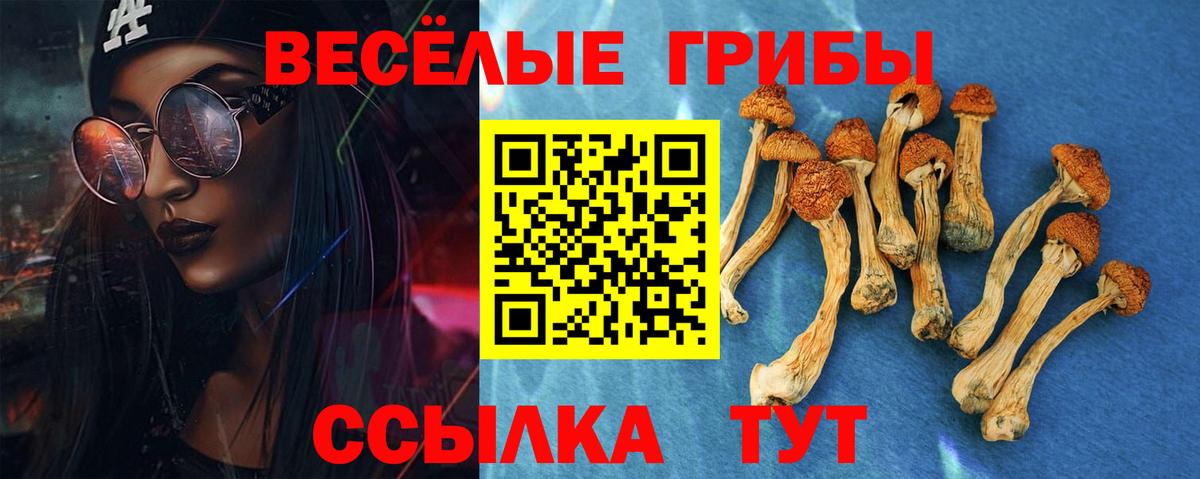 Псилоцибиновые грибы мухоморы Сергиев Посад