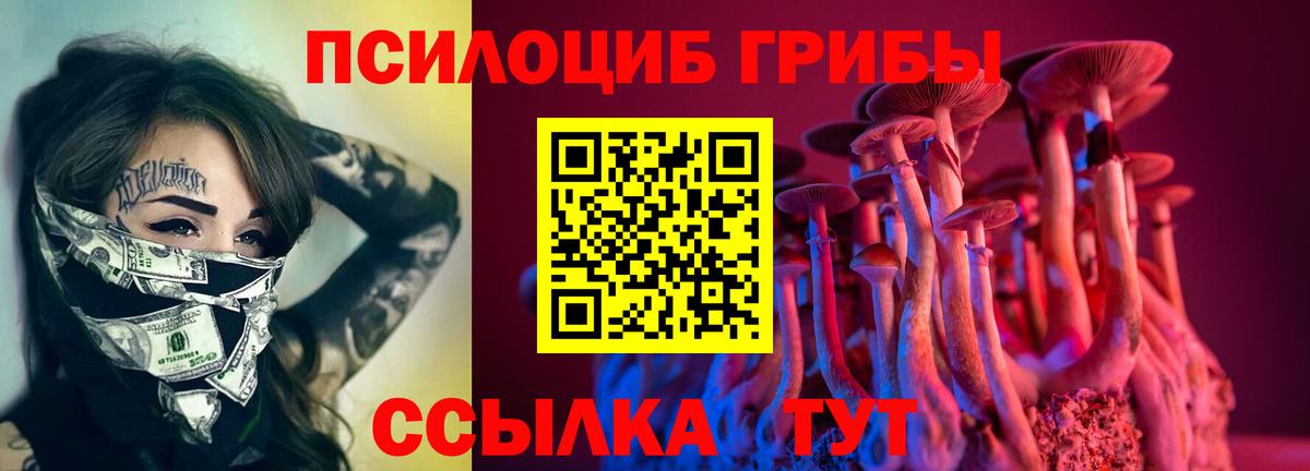 Сергиев Посад  Галлюциногенные грибы MAGIC MUSHROOMS  Вход с VPN 
