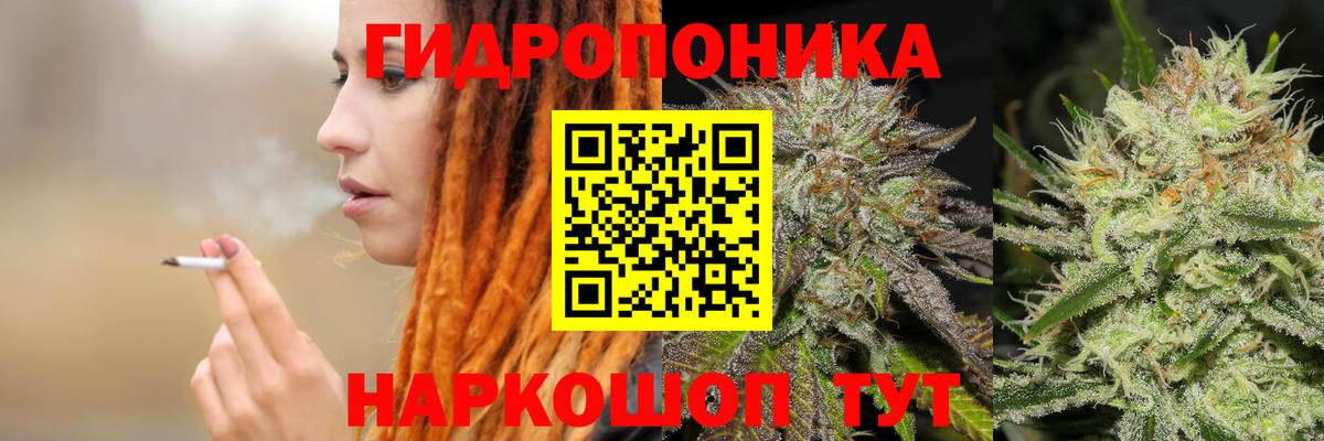 Бошки Шишки марихуана Сергиев Посад